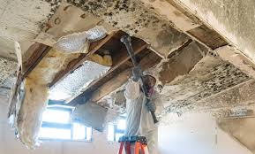 Mold Documentation for Insurance Claims in Murfreesboro, TN